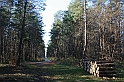 Rostoczek 11.2008 378